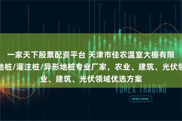 一家天下股票配资平台 天津市佳农温室大棚有限公司：螺旋地桩/灌注桩/异形地桩专业厂家，农业、建筑、光伏领域优选方案