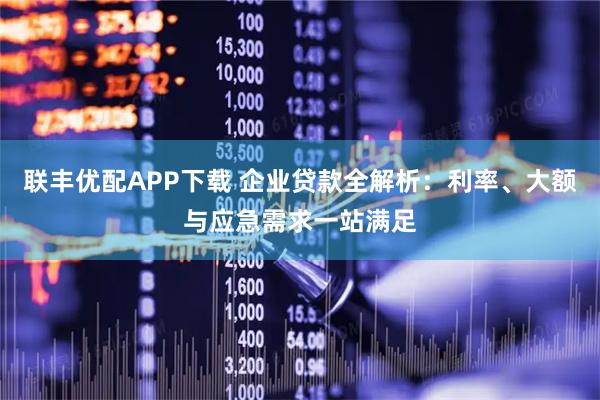 联丰优配APP下载 企业贷款全解析：利率、大额与应急需求一站满足