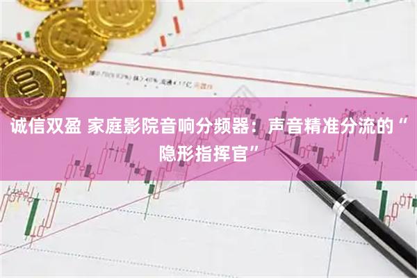 诚信双盈 家庭影院音响分频器：声音精准分流的“隐形指挥官”