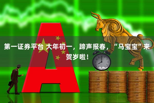 第一证券平台 大年初一，蹄声报春，“马宝宝”来贺岁啦！